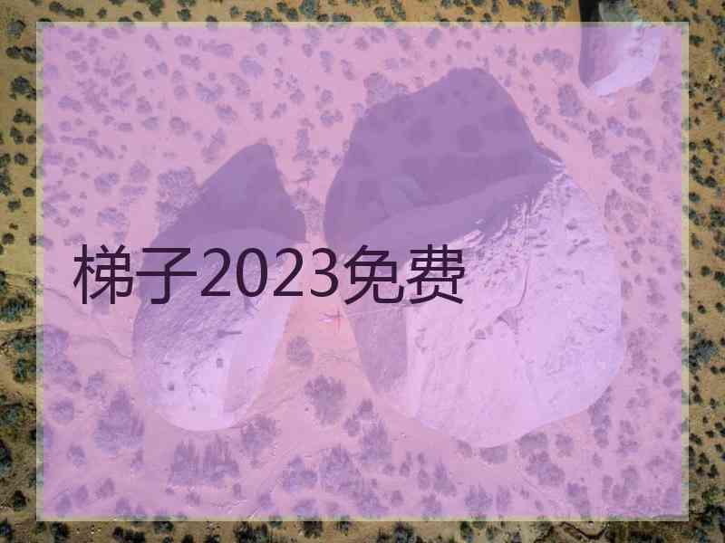 梯子2023免费