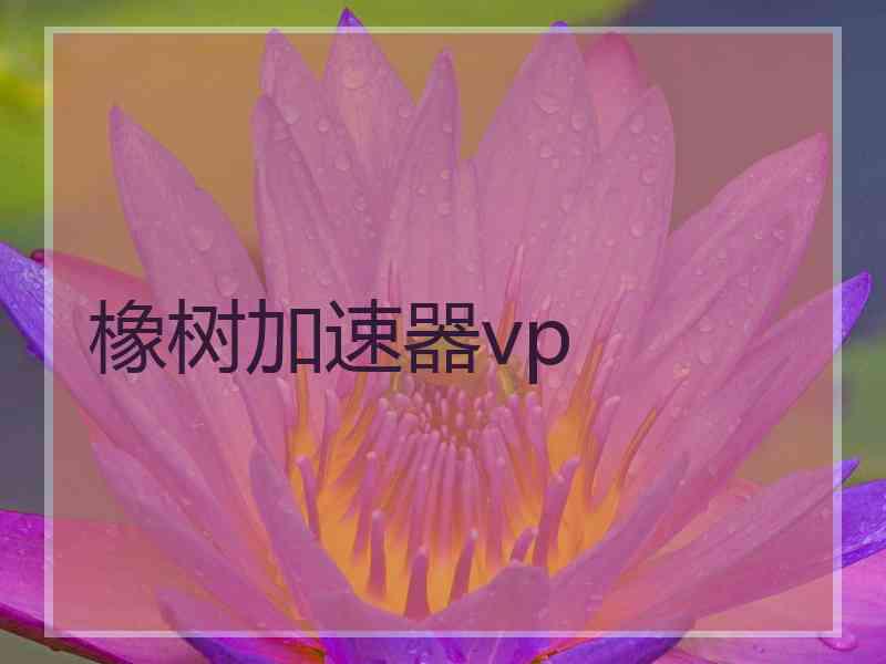 橡树加速器vp