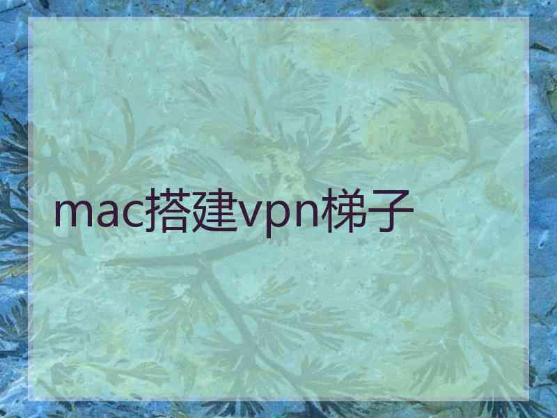 mac搭建vpn梯子