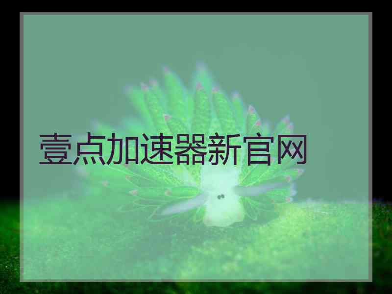 壹点加速器新官网