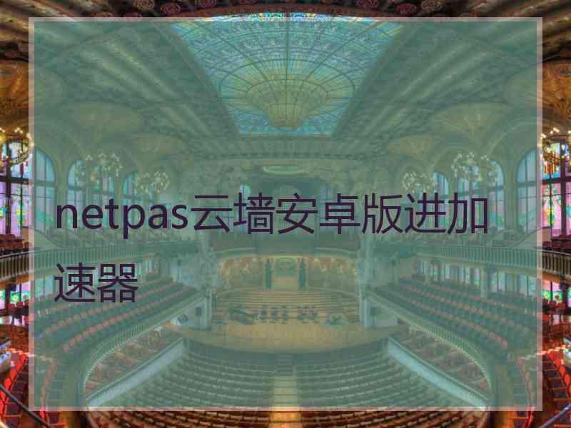 netpas云墙安卓版进加速器