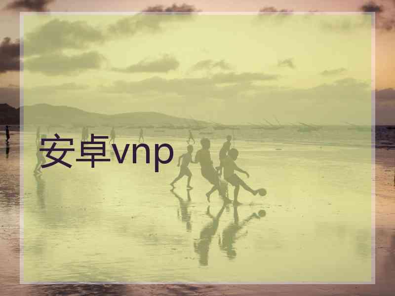 安卓vnp