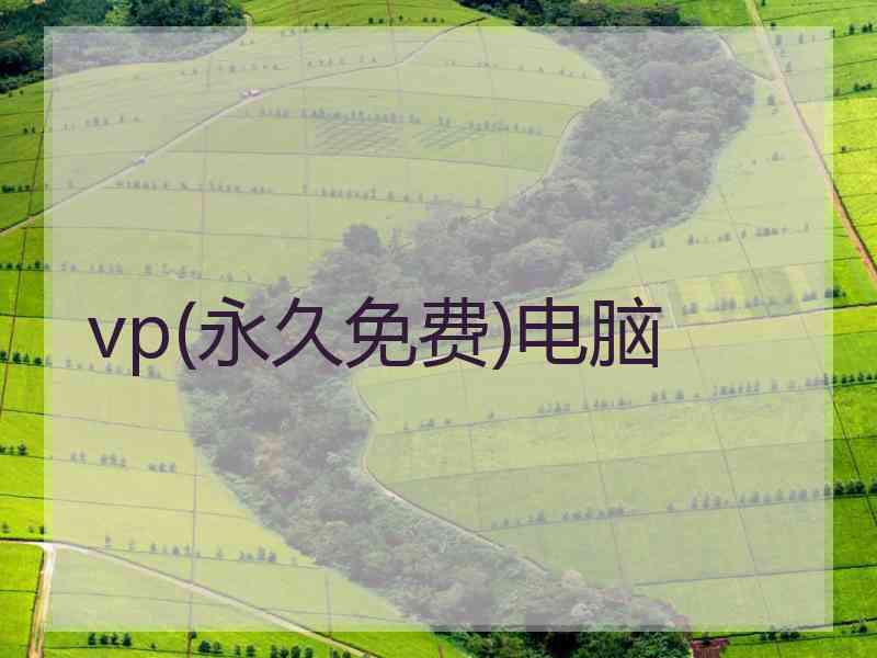 vp(永久免费)电脑