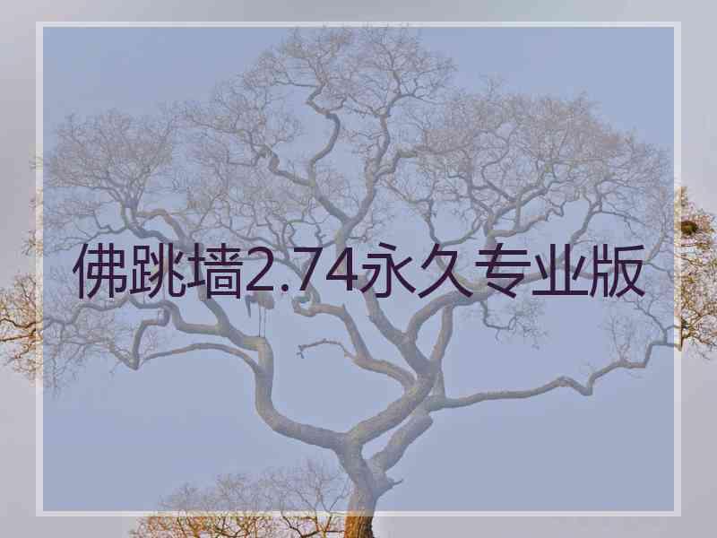 佛跳墙2.74永久专业版