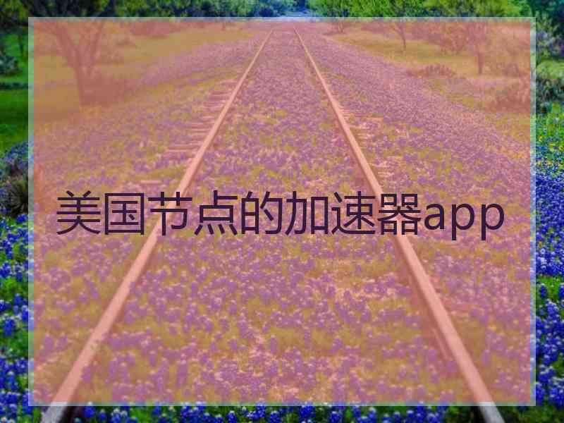 美国节点的加速器app