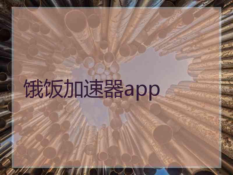 饿饭加速器app