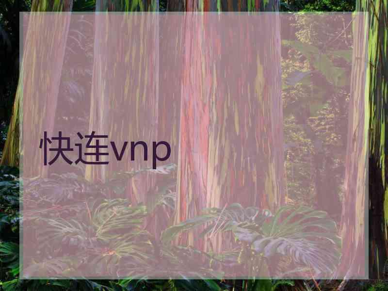 快连vnp