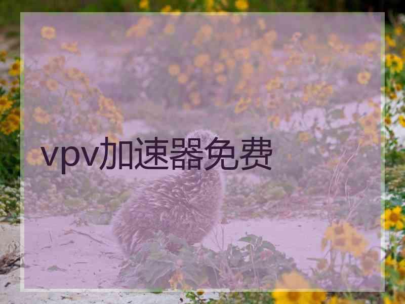 vpv加速器免费