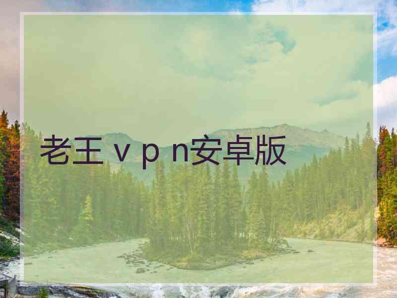 老王 v p n安卓版