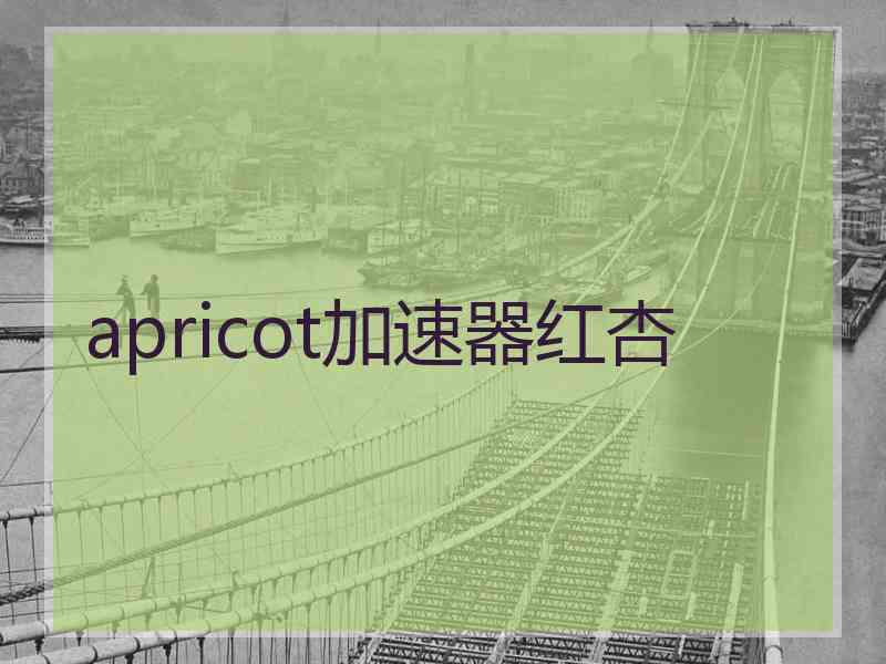 apricot加速器红杏