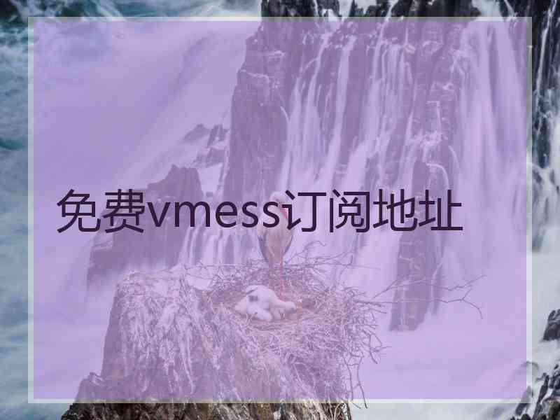 免费vmess订阅地址