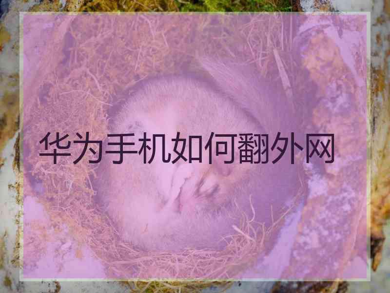 华为手机如何翻外网