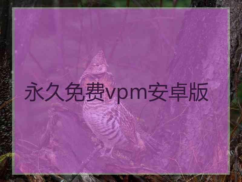 永久免费vpm安卓版