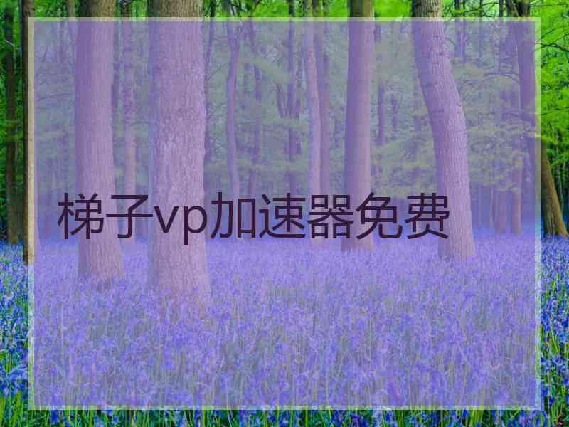 梯子vp加速器免费