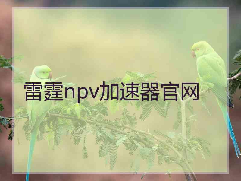 雷霆npv加速器官网