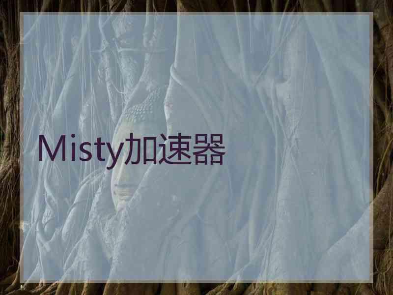 Misty加速器