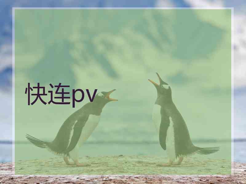 快连pv