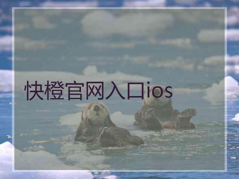 快橙官网入口ios