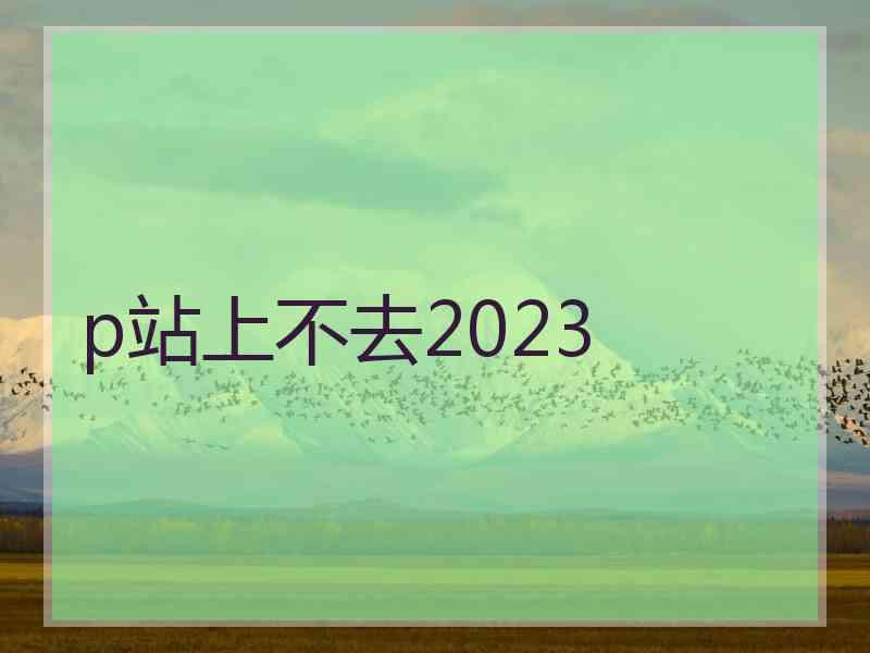 p站上不去2023