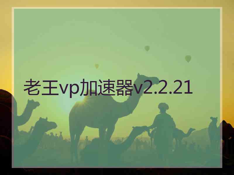 老王vp加速器v2.2.21