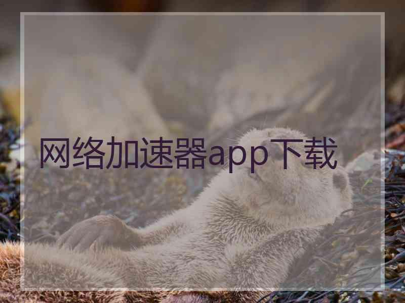 网络加速器app下载