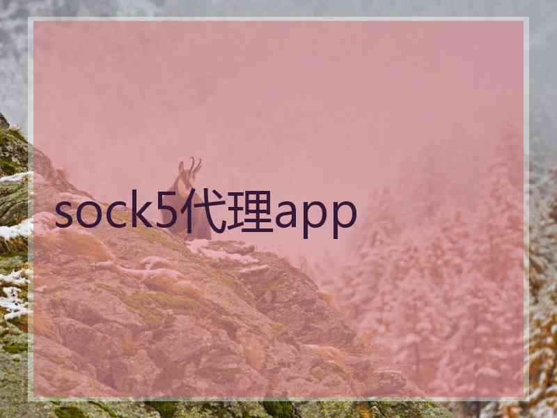 sock5代理app