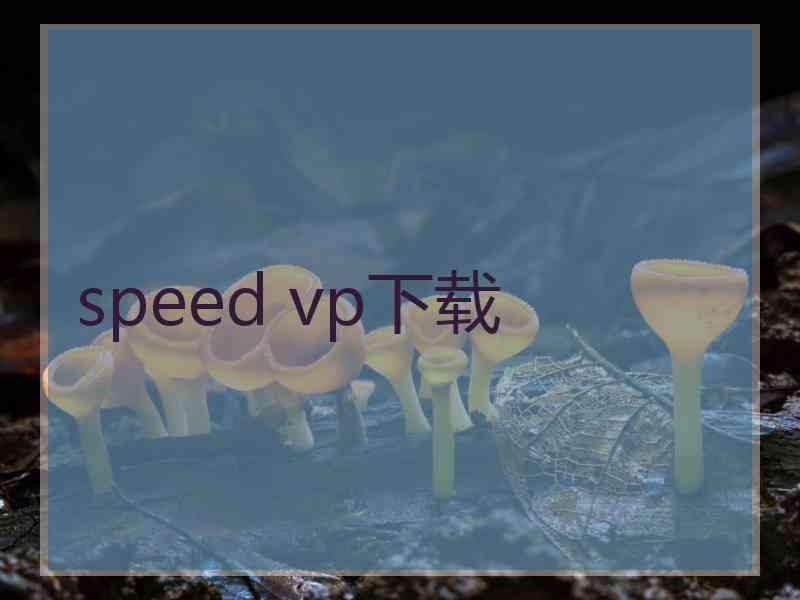 speed vp下载