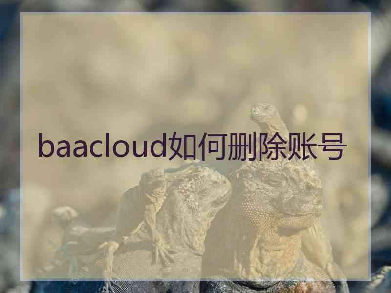 baacloud如何删除账号