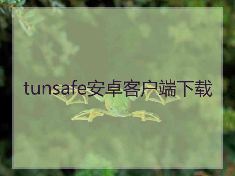 tunsafe安卓客户端下载