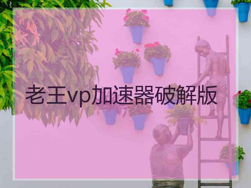 老王vp加速器破解版