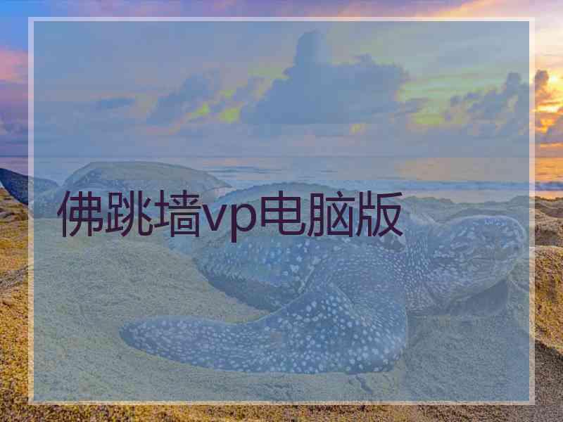 佛跳墙vp电脑版